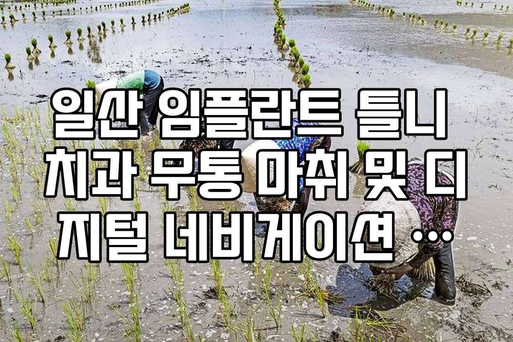 일산 임플란트 틀니 치과 무통 마취 및 디지털 네비게이션 장비 확인법