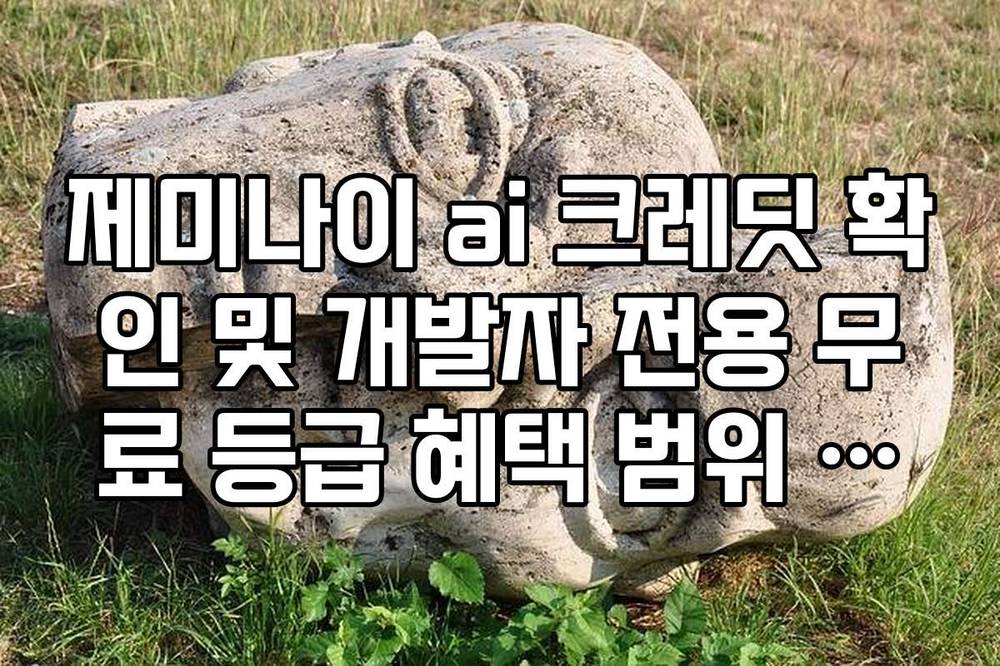 제미나이 ai 크레딧 확인 및 개발자 전용 무료 등급 혜택 범위 안내