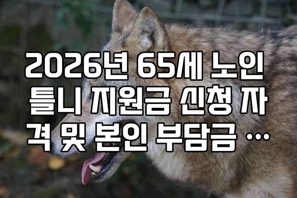2026년 65세 노인 틀니 지원금 신청 자격 및 본인 부담금 30퍼센트 확인