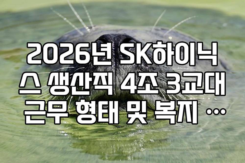 2026년 SK하이닉스 생산직 4조 3교대 근무 형태 및 복지 리스트