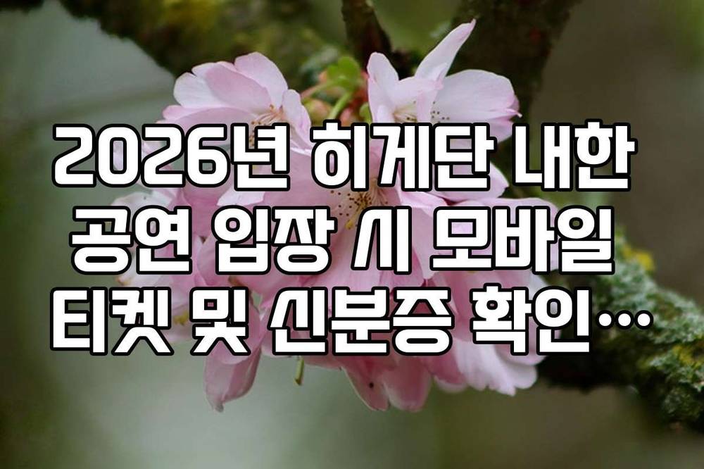 2026년 히게단 내한 공연 입장 시 모바일 티켓 및 신분증 확인 규정