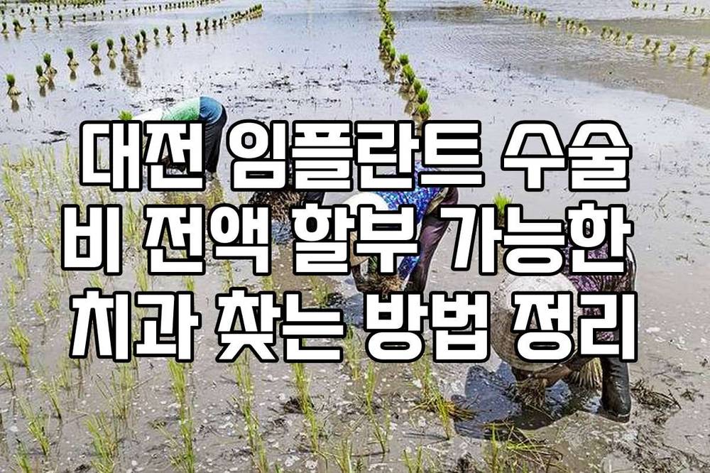 대전 임플란트 수술비 전액 할부 가능한 치과 찾는 방법 정리