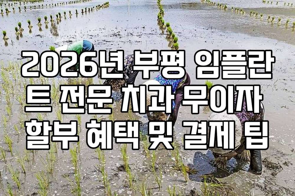 2026년 부평 임플란트 전문 치과 무이자 할부 혜택 및 결제 팁