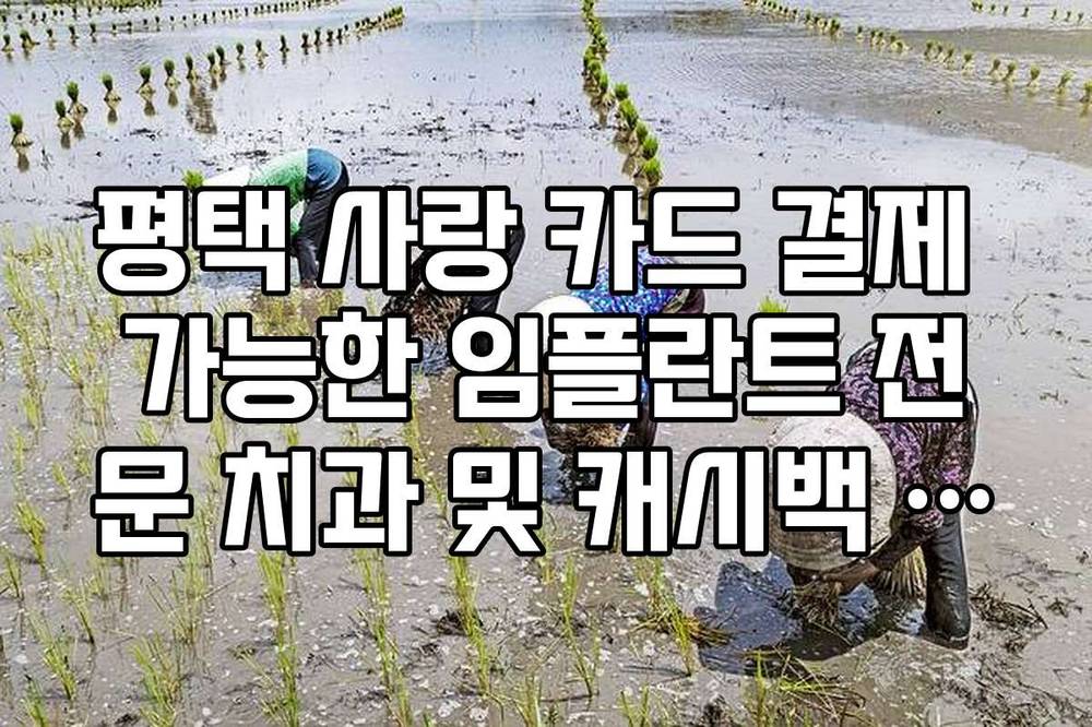 평택 사랑 카드 결제 가능한 임플란트 전문 치과 및 캐시백 혜택