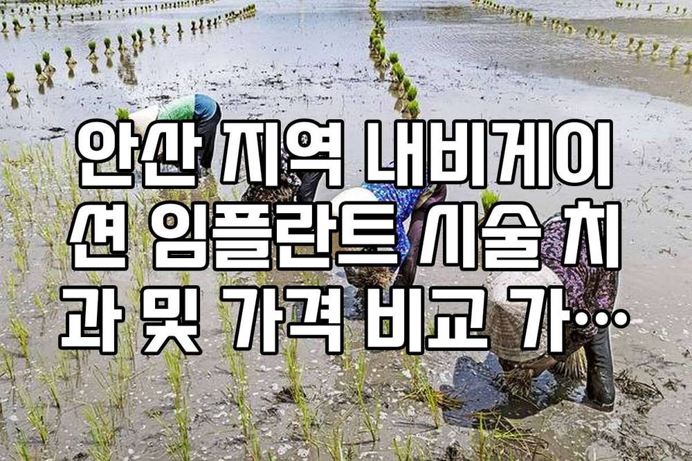 안산 지역 내비게이션 임플란트 시술 치과 및 가격 비교 가이드