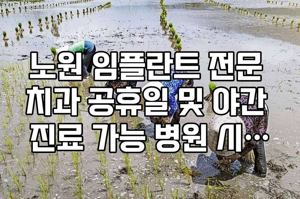 노원 임플란트 전문 치과 공휴일 및 야간 진료 가능 병원 시간표