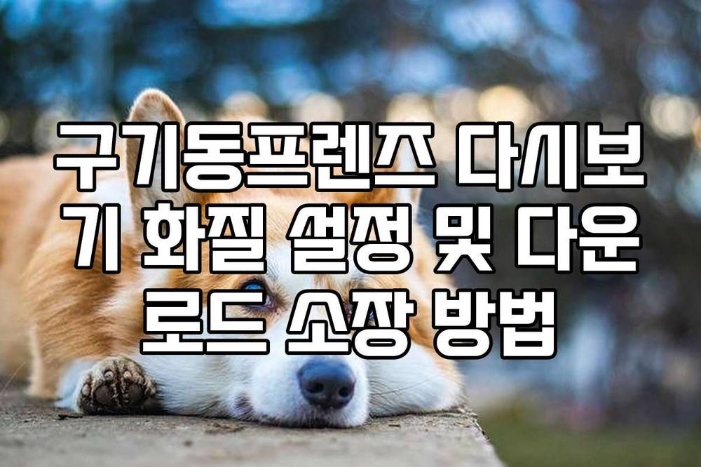 구기동프렌즈 다시보기 화질 설정 및 다운로드 소장 방법