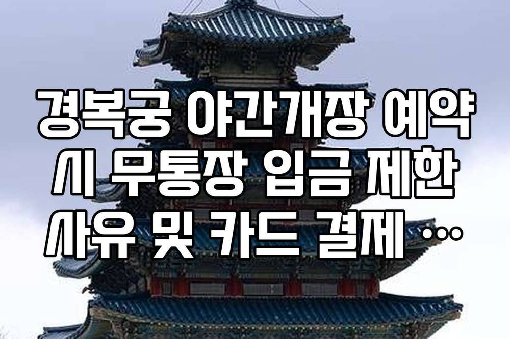 경복궁 야간개장 예약 시 무통장 입금 제한 사유 및 카드 결제 권장 이유