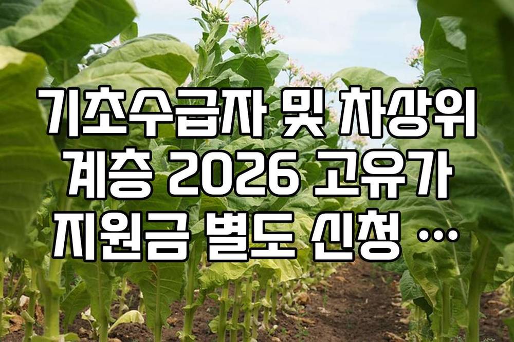 기초수급자 및 차상위 계층 2026 고유가 지원금 별도 신청 필요 여부