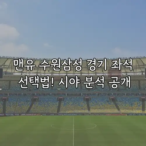 맨유 수원삼성 경기 좌석 선택법! 시야 분석 공개