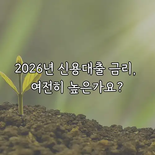 2026년 신용대출 금리, 여전히 높은가요?