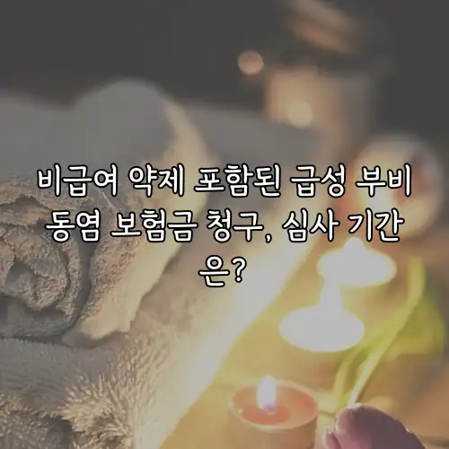 비급여 약제 포함된 급성 부비동염 보험금 청구, 심사 기간은?