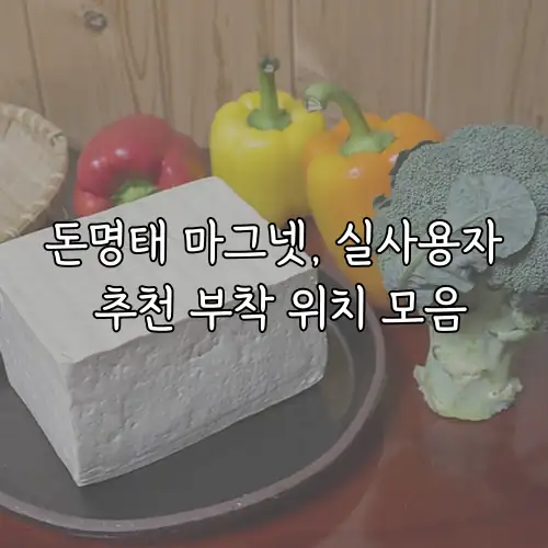 돈명태 마그넷, 실사용자 추천 부착 위치 모음