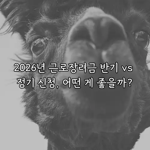 2026년 근로장려금 반기 vs 정기 신청, 어떤 게 좋을까?