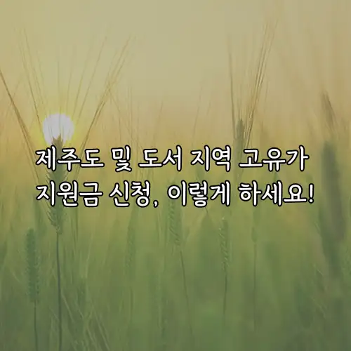 제주도 및 도서 지역 고유가 지원금 신청, 이렇게 하세요!