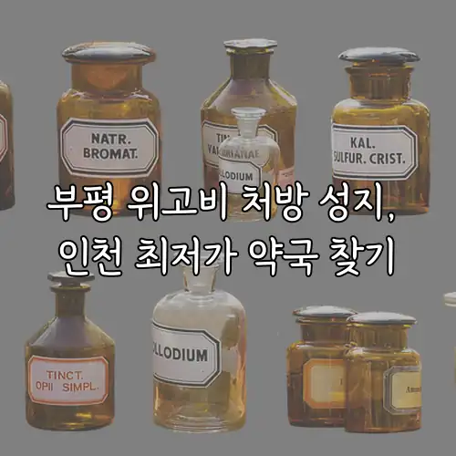 부평 위고비 처방 성지, 인천 최저가 약국 찾기