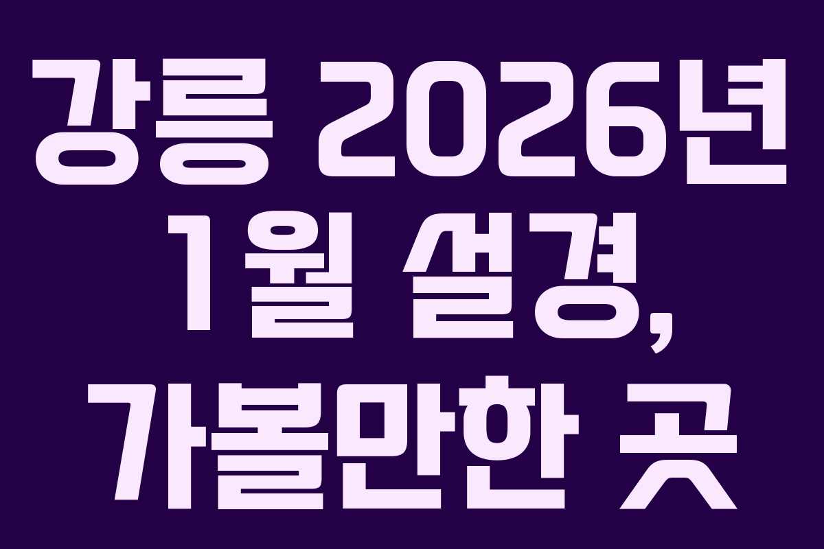 강릉 2026년 1월 설경, 가볼만한 곳