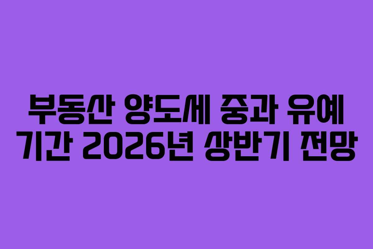 부동산 양도세 중과 유예 기간 2026년 상반기 전망