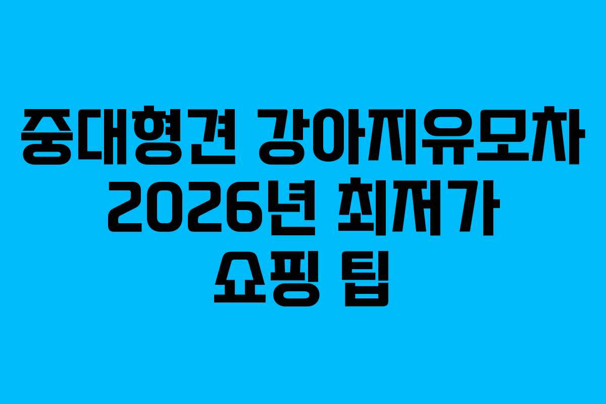 중대형견 강아지유모차 2026년 최저가 쇼핑 팁