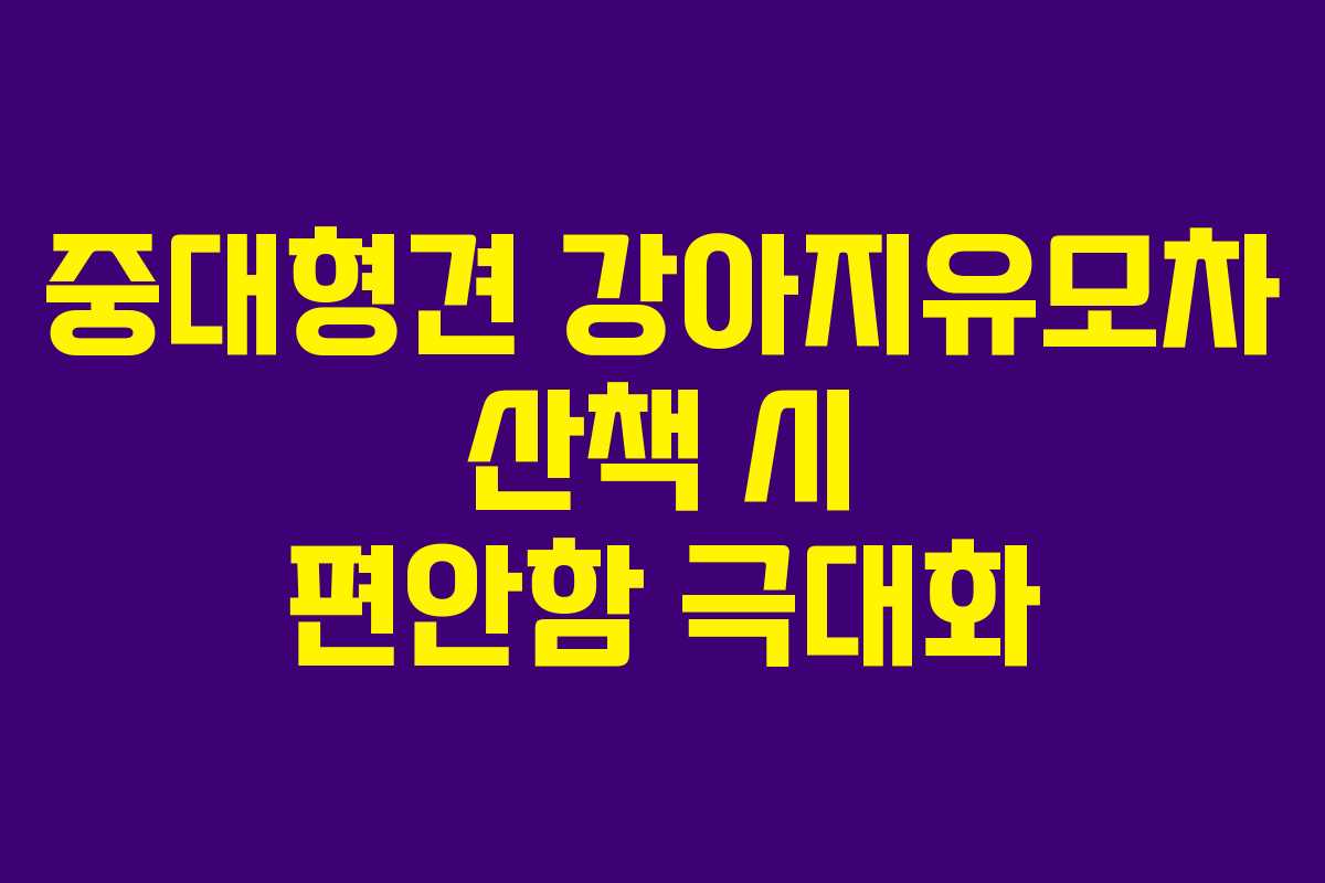 중대형견 강아지유모차 산책 시 편안함 극대화