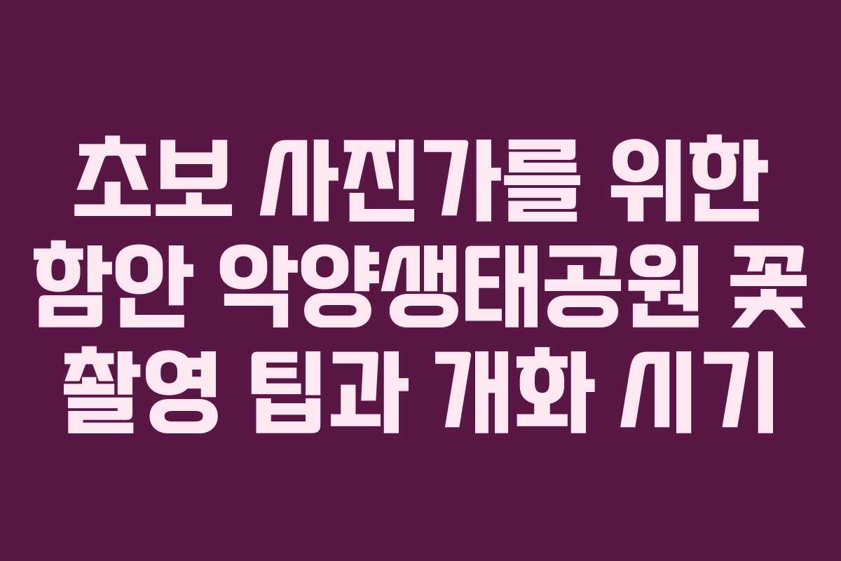 초보 사진가를 위한 함안 악양생태공원 꽃 촬영 팁과 개화 시기 초보 사진가를 위한 함안 악양생태공원 꽃 촬영 팁과 개화 시기