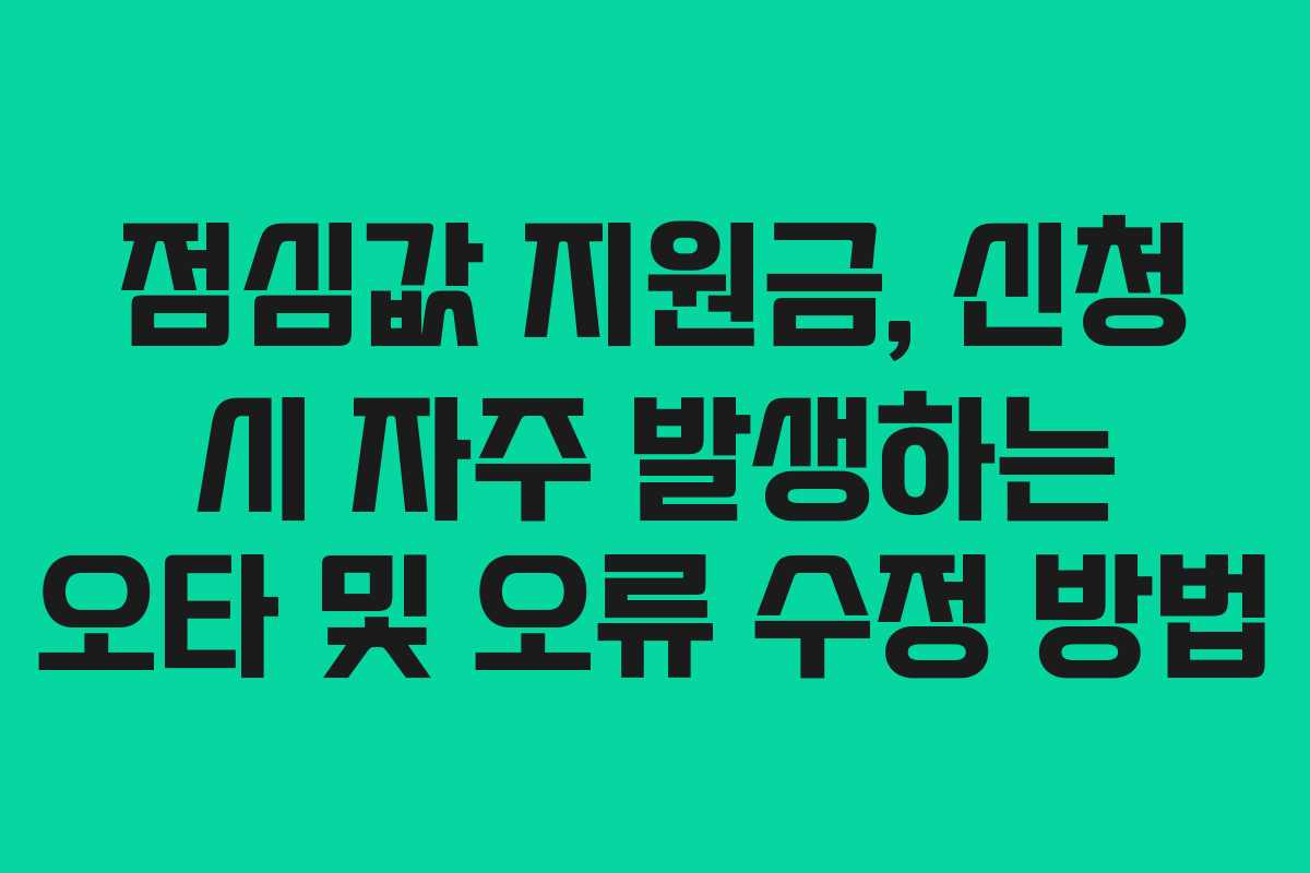 점심값 지원금, 신청 시 자주 발생하는 오타 및 오류 수정 방법
