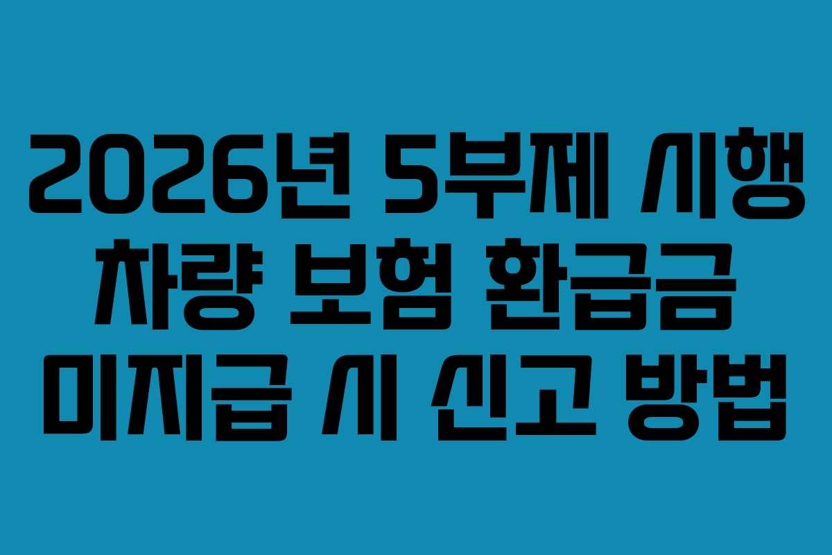 2026년 5부제 시행 차량 보험 환급금 미지급 시 신고 방법