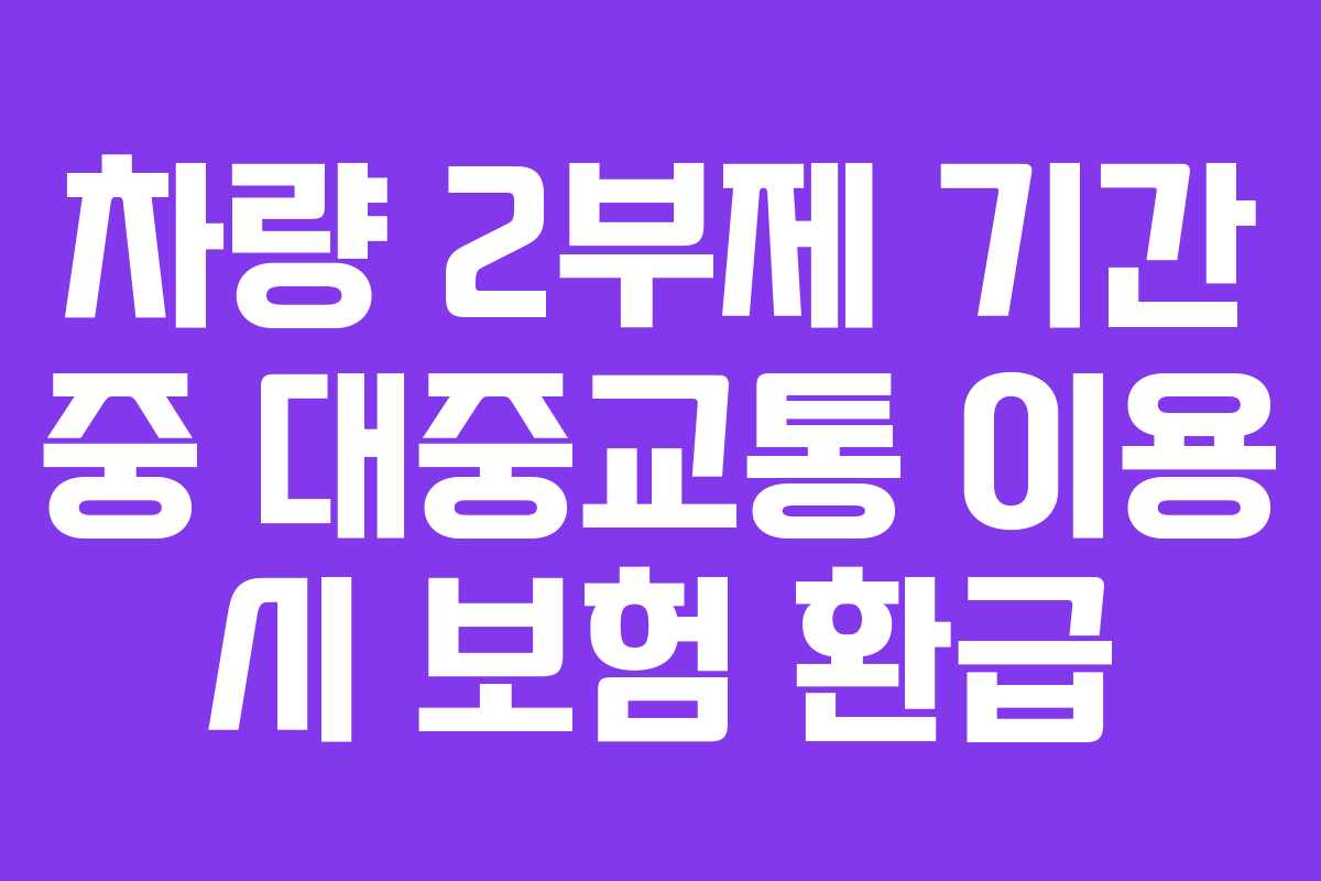 차량 2부제 기간 중 대중교통 이용 시 보험 환급
