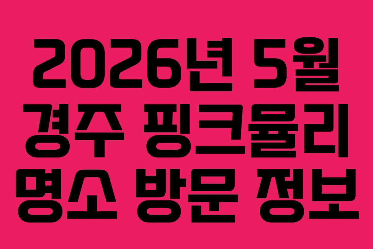 2026년 5월 경주 핑크뮬리 명소 방문 정보