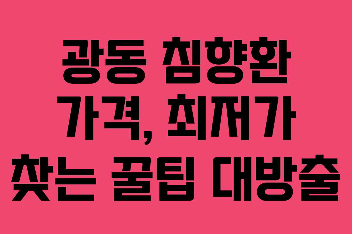광동 침향환 가격, 최저가 찾는 꿀팁 대방출