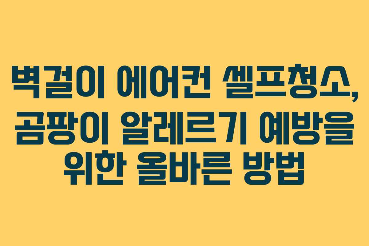 벽걸이 에어컨 셀프청소, 곰팡이 알레르기 예방을 위한 올바른 방법