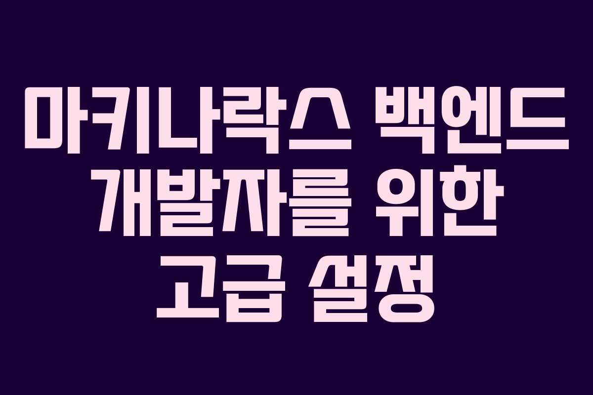 마키나락스 백엔드 개발자를 위한 고급 설정