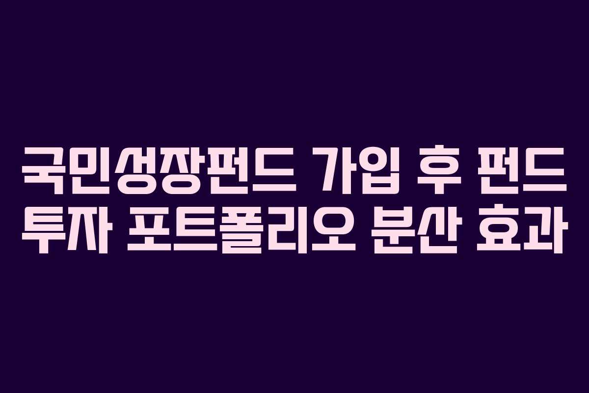 국민성장펀드 가입 후 펀드 투자 포트폴리오 분산 효과