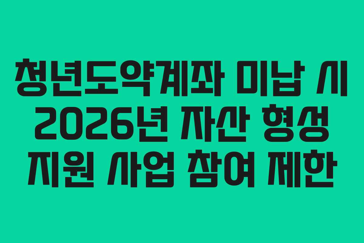 청년도약계좌 미납 시 2026년 자산 형성 지원 사업 참여 제한