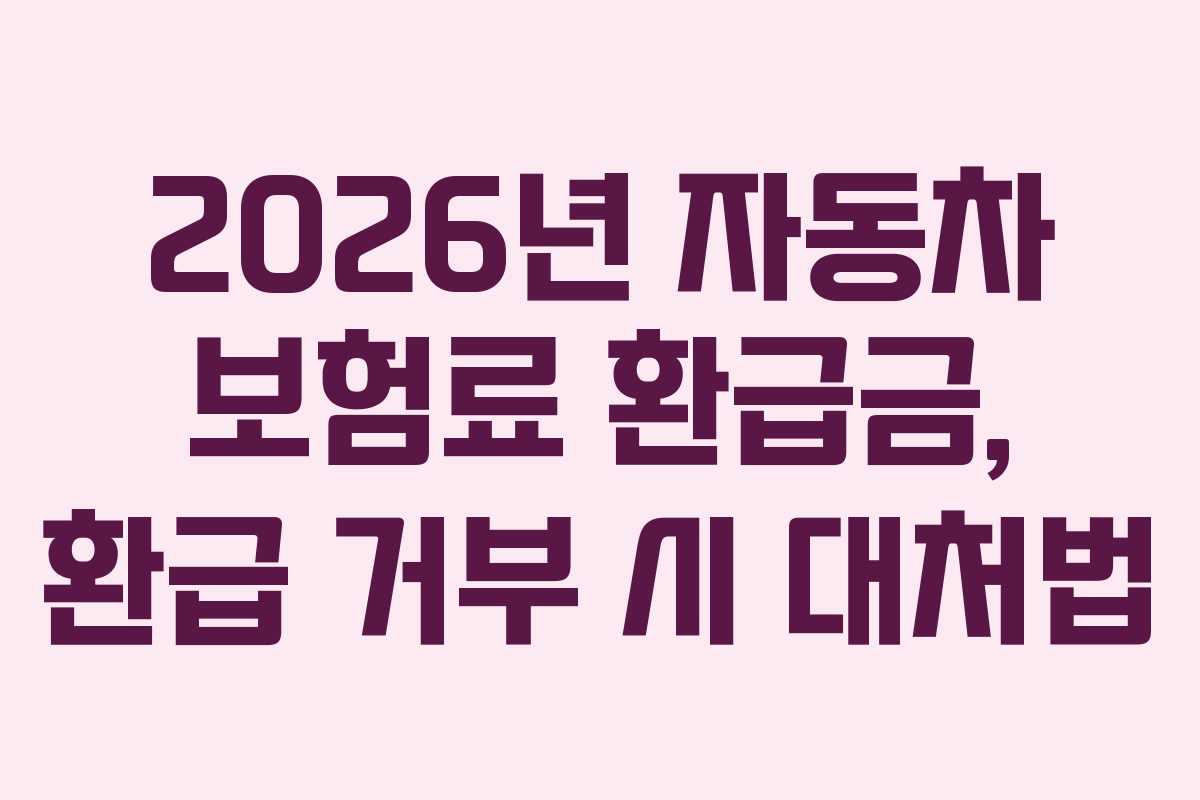 2026년 자동차 보험료 환급금, 환급 거부 시 대처법