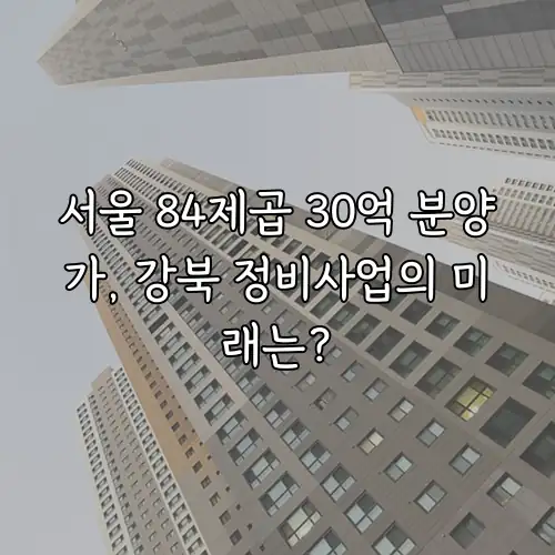 서울 84제곱 30억 분양가, 강북 정비사업의 미래는?