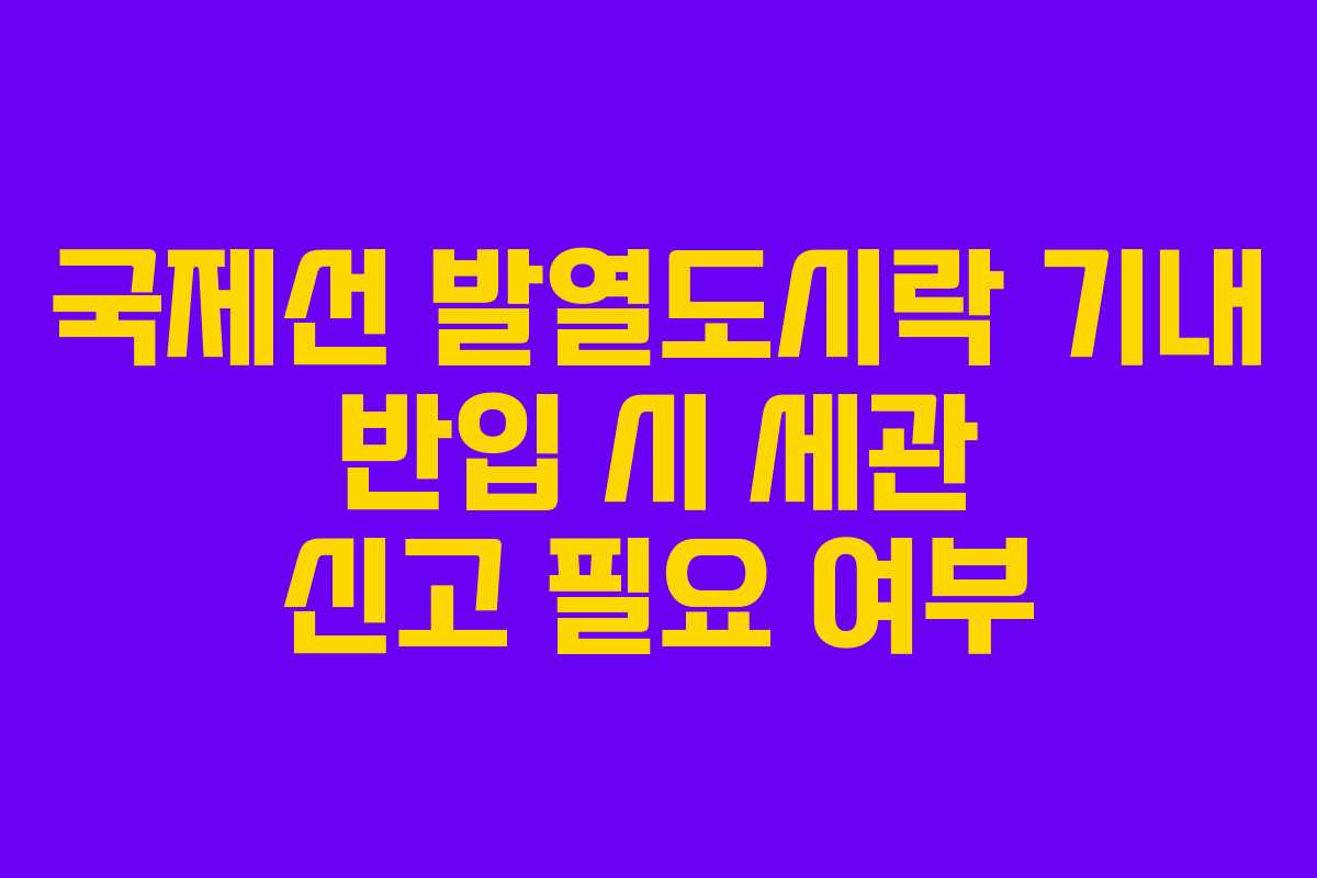 국제선 발열도시락 기내 반입 시 세관 신고 필요 여부 국제선 발열도시락 기내 반입 시 세관 신고 필요 여부