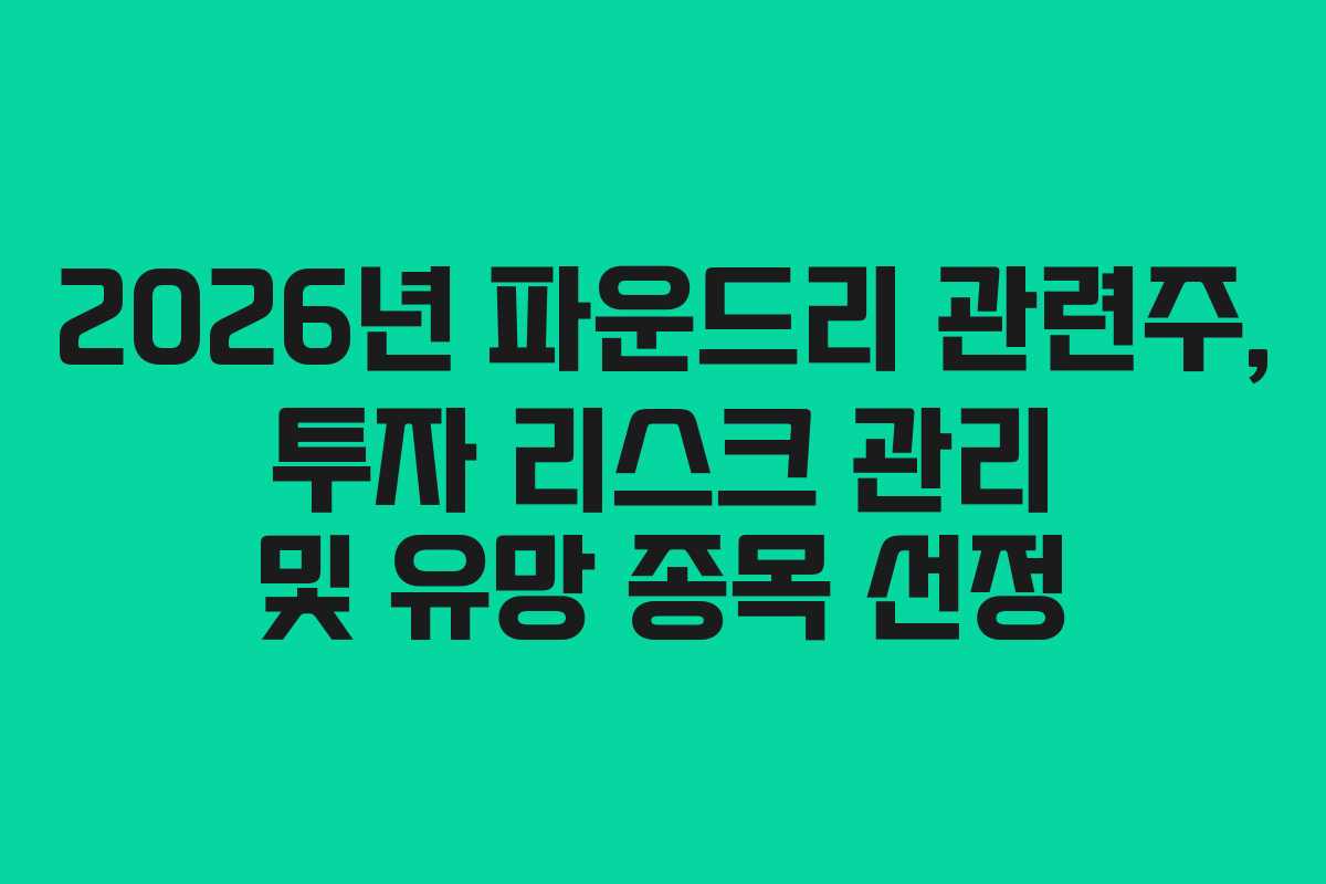 2026년 파운드리 관련주, 투자 리스크 관리 및 유망 종목 선정