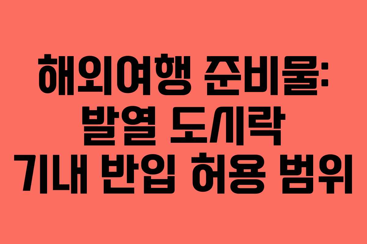 해외여행 준비물: 발열 도시락 기내 반입 허용 범위