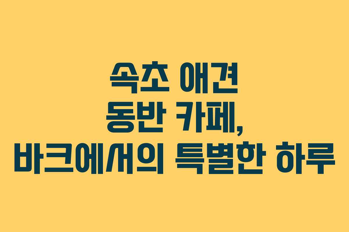 속초 애견 동반 카페, 바크에서의 특별한 하루