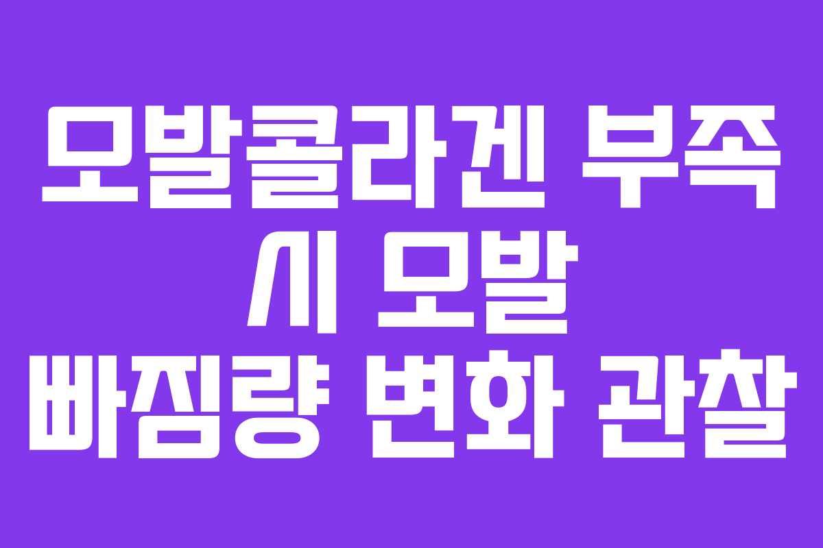 모발콜라겐 부족 시 모발 빠짐량 변화 관찰