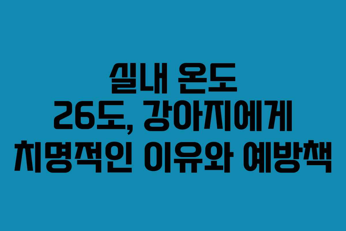 실내 온도 26도, 강아지에게 치명적인 이유와 예방책